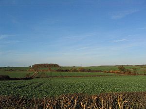 Lincsfarmland