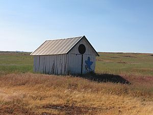 Lonely Blue Bird shed