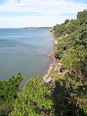 Looking east over Gentleman's Bay