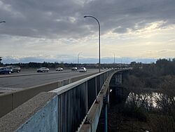 Michael J. E. Sheflin Bridge.jpg