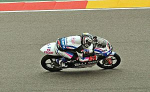 Motorland-3