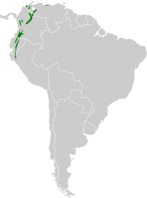 Ochthoeca diadema map.svg