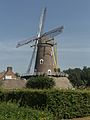 Oirschot, windmolen de Korenaar RM31347 foto7 2015-08-13 12.38