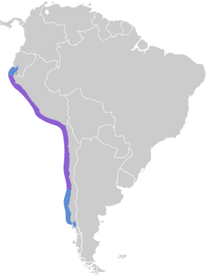 Pelecanus thagus map.svg