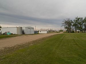 Street in Pingree