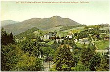 PostcardMillValleyCAwithMountTamalpaisCirca1910