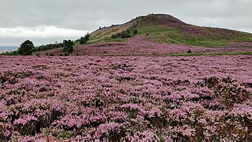 Ros Hill, Northumberland.jpg