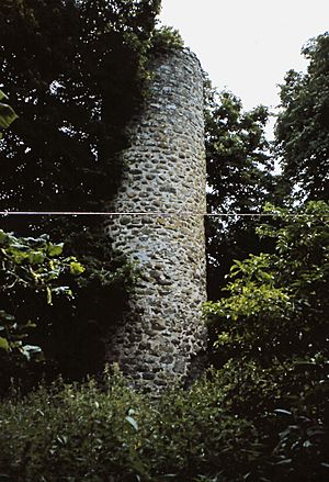 RoundTowerRamsIsland