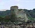 Salcombecastle