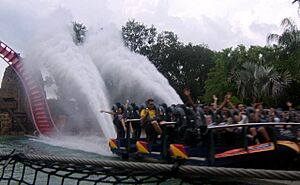 SheiKra (Busch Gardens Africa) 03