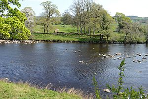 Stephen-Nolan-Chesters-Bridge-from-the-west-bank