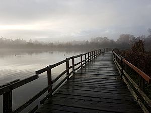 Swan Lake Boardwalk