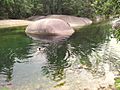 Swiming-babinda-creek