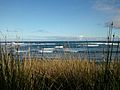 The coast of Philip Island