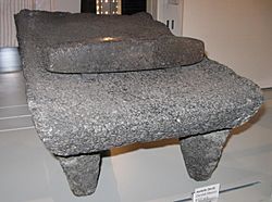 Tool (metate)-UBC 2010