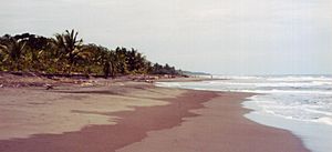 Beach in Tortuguero National Park, Limón