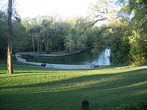 Wekiwa Springs State Park springs02