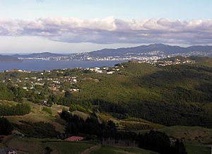 Wellington from Normandale.jpg