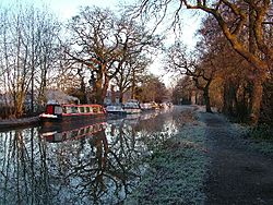 Wey Navigation Canal, Pyrford - geograph.org.uk - 22119.jpg