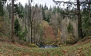 Whatcom Creek sensitive area