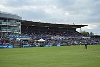 Whitten Oval