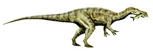 Baryonyx BW