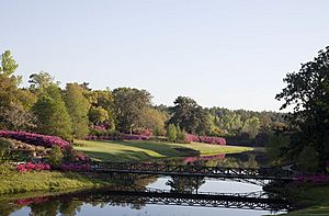 Bellingrath Gardens and Home by Highsmith 002