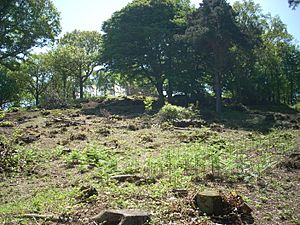 Bigbury Camp hillfort 01