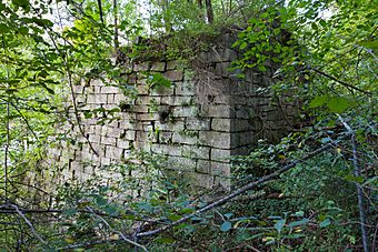 Bradys Bend Iron Company Furnace.jpg