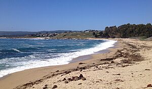 Carmel Beach May 2013 (cropped)