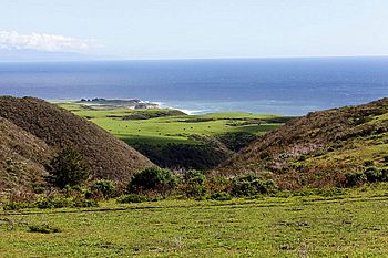 Coast Dairies near Santa Cruz