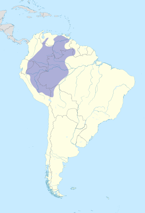 Cyanocorax violaceus map.svg