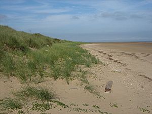 Dune front - geograph.org.uk - 1022731