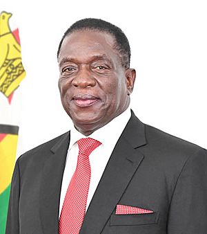 Emmerson Mnangagwa Official Portrait.jpg