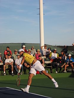 Fernando verdasco