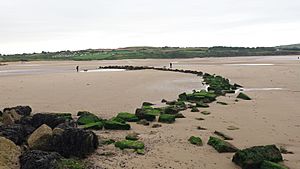 Fish weir, Lligwy beach