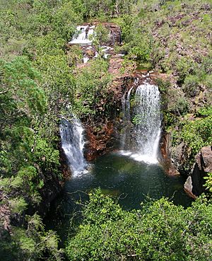 Florence falls