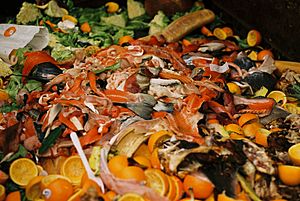 GI Market food waste