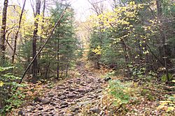 Gorgebrooktrail