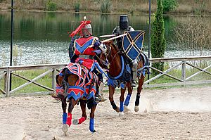 Horses joust