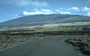 Hualālai 1996.jpg