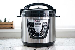 Instant Pot DUO60 pressure cooker