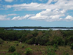 Laguna Joyuda