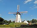 Luyksgestel, windkorenmolen De Deen RM26323 foto3 2012-09-16 16.20