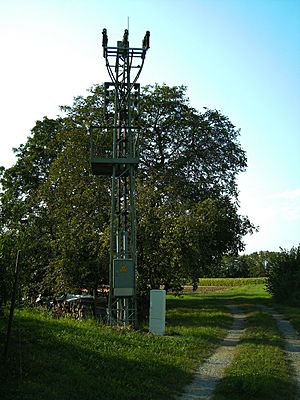 Markgroeningen Pylon Transformer