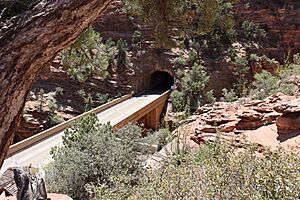 Mount. Carmel tunnel entrance