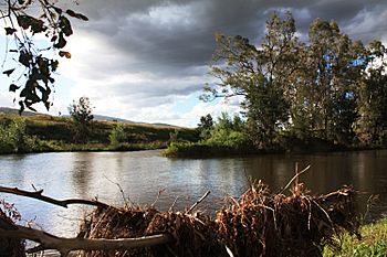 Namoi manilla rivers manilla.jpg