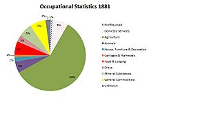 Occupational Graph