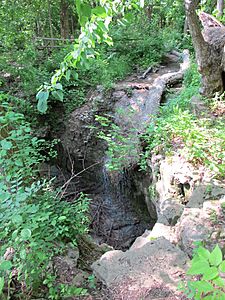 Pattyfalls Englewood MetroPark