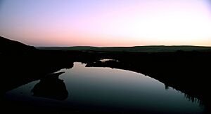 Point Reyes Marsh at Dusk